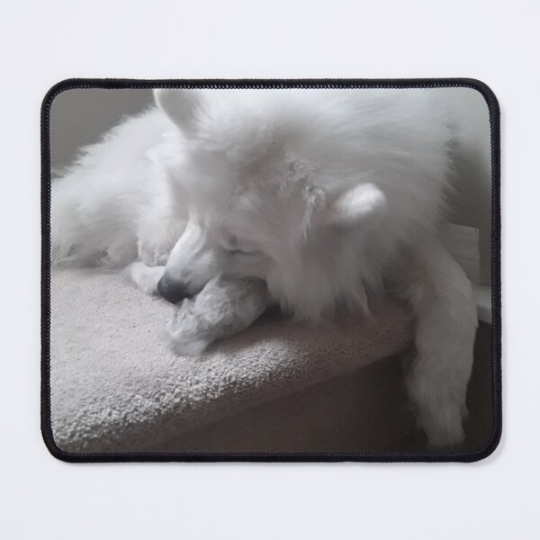 Item preview, Samoyed ❤ designed and sold by Carrot---.