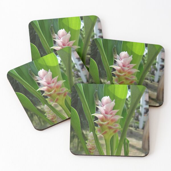 Item preview, Siam tulip is flowering plant, Curcuma sp. of the ginger family no. 14 designed and sold by greengoodnich.