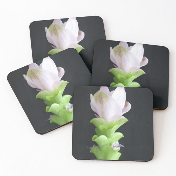 Item preview, Siam tulip is flowering plant, Curcuma sp. of the ginger family no. 15 designed and sold by greengoodnich.