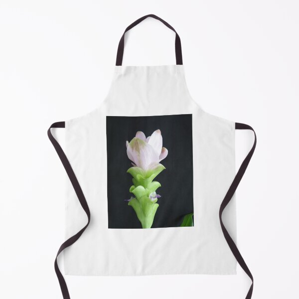 Item preview, Siam tulip is flowering plant, Curcuma sp. of the ginger family no. 15 designed and sold by greengoodnich.
