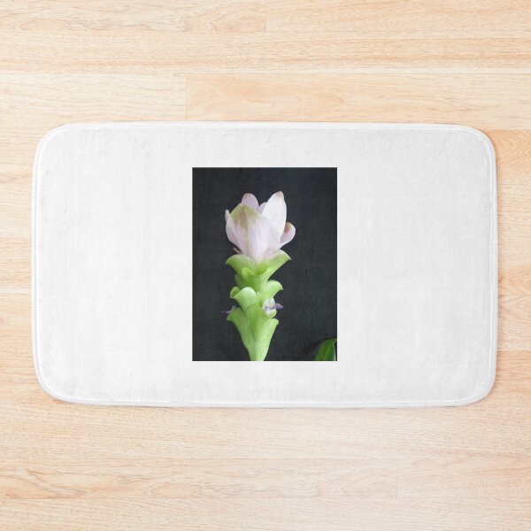 Item preview, Siam tulip is flowering plant, Curcuma sp. of the ginger family no. 15 designed and sold by greengoodnich.