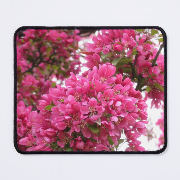 Item preview, Pink Blossom designed and sold by catrantula.