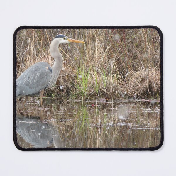 Item preview, Great Blue Heron in Snow designed and sold by catrantula.