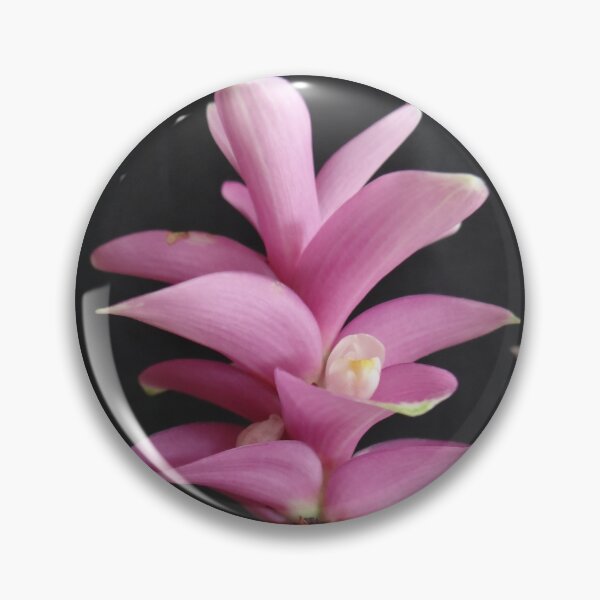 Item preview, Siam tulip is flowering plant, Curcuma sp. of the ginger family no. 16 designed and sold by greengoodnich.
