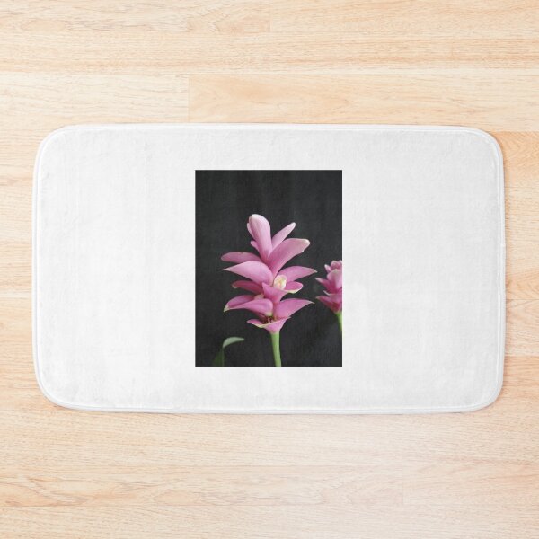 Item preview, Siam tulip is flowering plant, Curcuma sp. of the ginger family no. 16 designed and sold by greengoodnich.