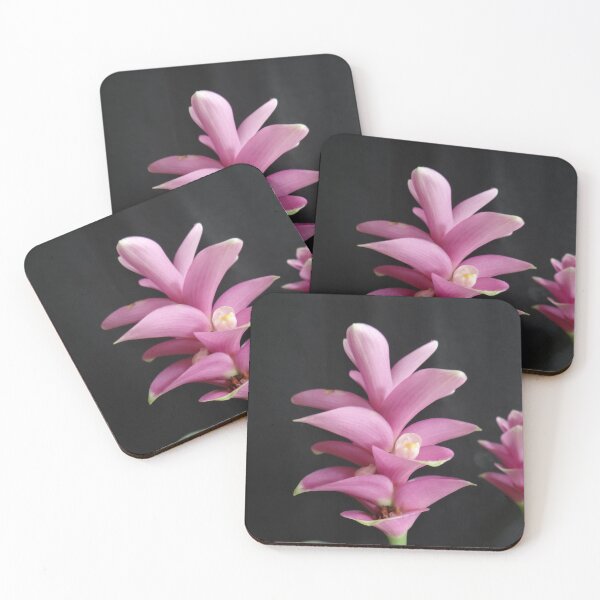 Item preview, Siam tulip is flowering plant, Curcuma sp. of the ginger family no. 16 designed and sold by greengoodnich.