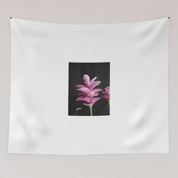 Item preview, Siam tulip is flowering plant, Curcuma sp. of the ginger family no. 16 designed and sold by greengoodnich.