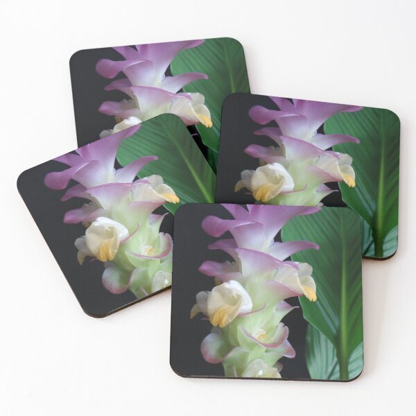 Item preview, Siam tulip is flowering plant, Curcuma sp. of the ginger family no. 17 designed and sold by greengoodnich.