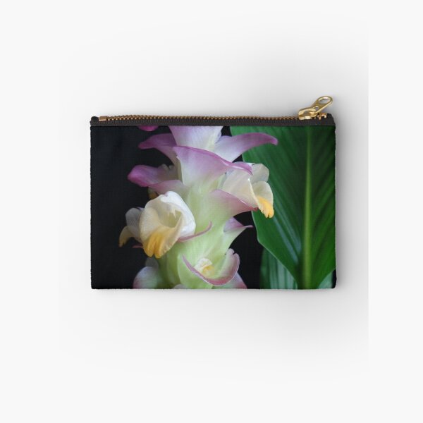 Artikelvorschau, Siam-Tulpe ist eine blühende Pflanze, Curcuma sp. der Ingwergewächse Nr. 17 entworfen und verkauft von greengoodnich.
