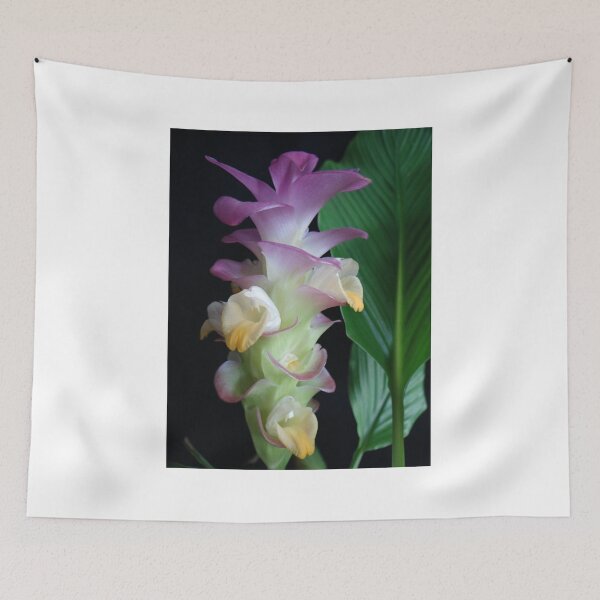 Item preview, Siam tulip is flowering plant, Curcuma sp. of the ginger family no. 17 designed and sold by greengoodnich.