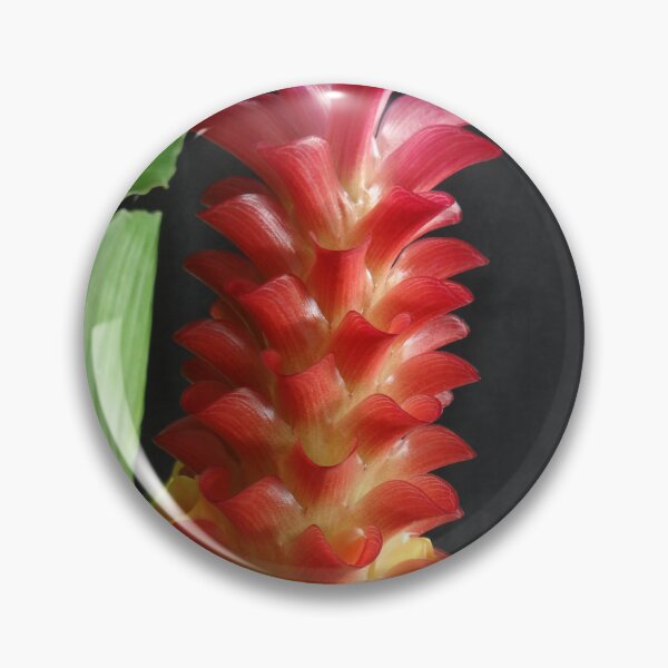 Item preview, Siam tulip is flowering plant, Curcuma sp. of the ginger family no. 18 designed and sold by greengoodnich.