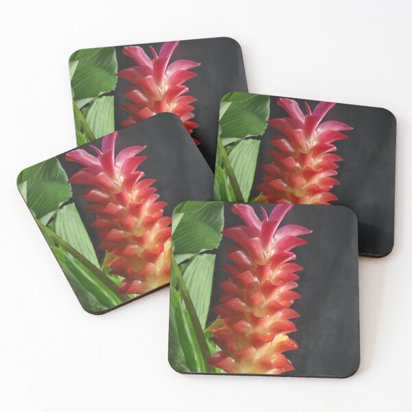 Item preview, Siam tulip is flowering plant, Curcuma sp. of the ginger family no. 18 designed and sold by greengoodnich.