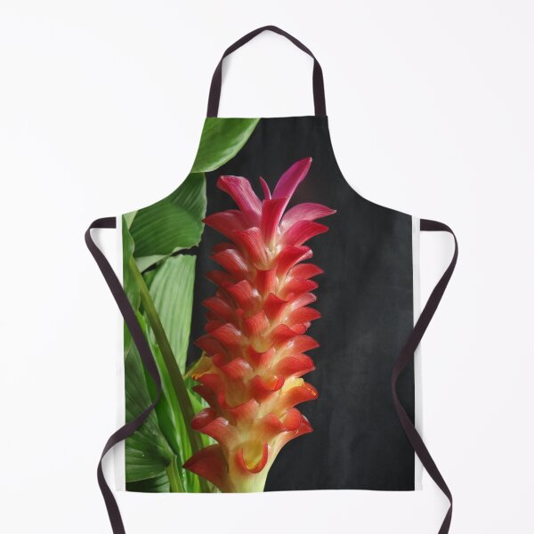 Item preview, Siam tulip is flowering plant, Curcuma sp. of the ginger family no. 18 designed and sold by greengoodnich.