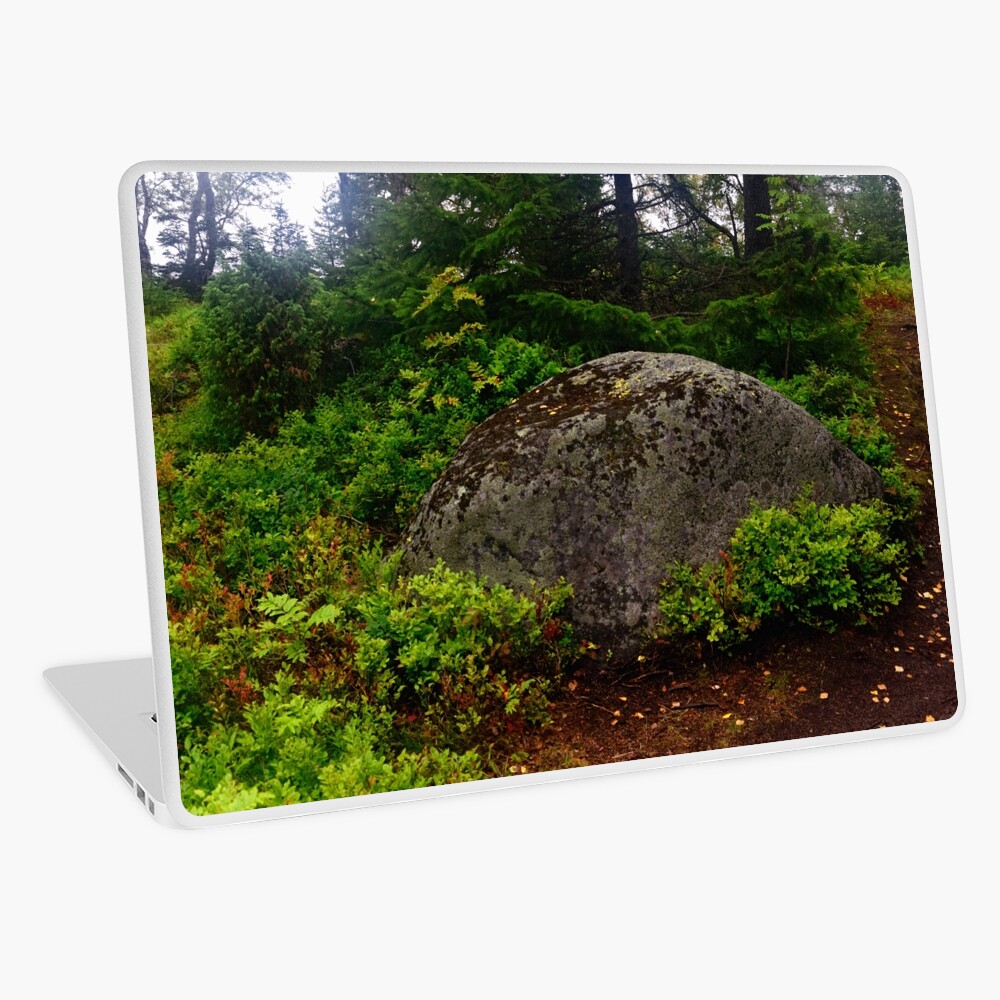 Item preview, Laptop Skin designed and sold by Mallorn.