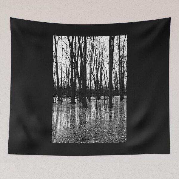 Item preview, Icy Pond designed and sold by Debbie Oppermann.