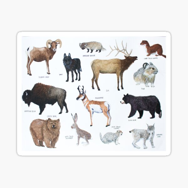 Mammals of Yellowstone National Park Sticker