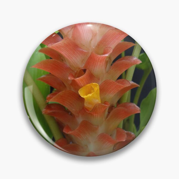 Item preview, Siam tulip is flowering plant, Curcuma sp. of the ginger family no. 19 designed and sold by greengoodnich.