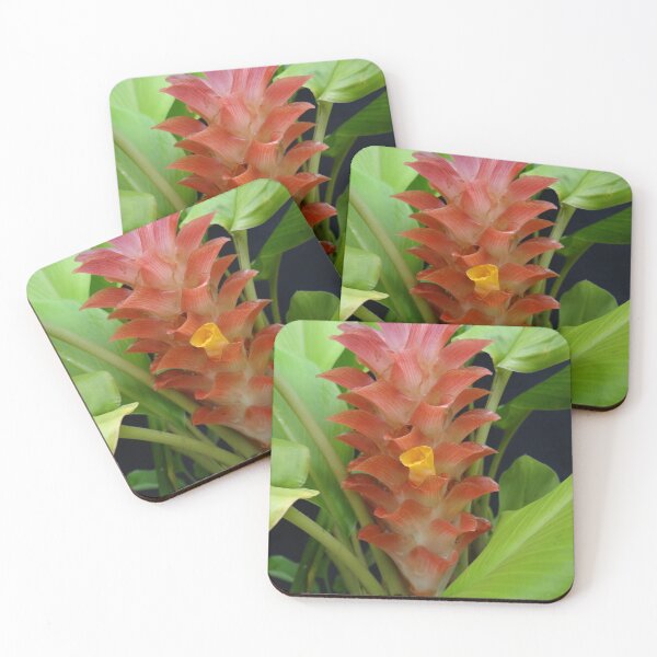 Item preview, Siam tulip is flowering plant, Curcuma sp. of the ginger family no. 19 designed and sold by greengoodnich.