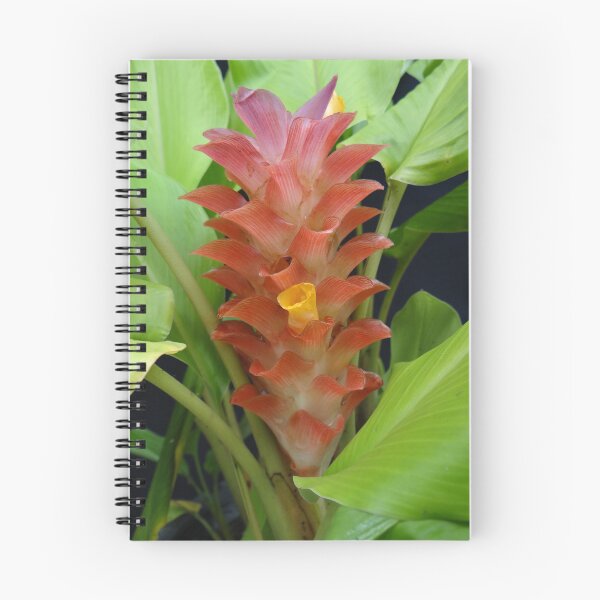 Item preview, Siam tulip is flowering plant, Curcuma sp. of the ginger family no. 19 designed and sold by greengoodnich.