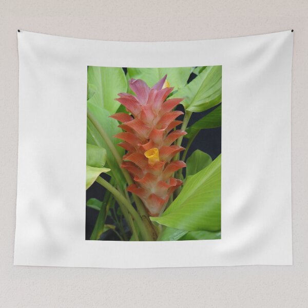 Item preview, Siam tulip is flowering plant, Curcuma sp. of the ginger family no. 19 designed and sold by greengoodnich.