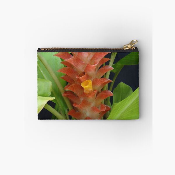 Item preview, Siam tulip is flowering plant, Curcuma sp. of the ginger family no. 19 designed and sold by greengoodnich.
