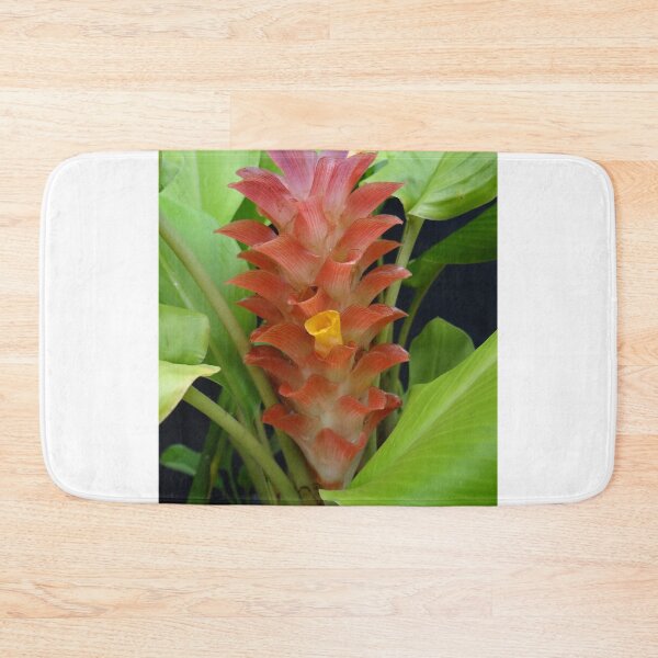 Item preview, Siam tulip is flowering plant, Curcuma sp. of the ginger family no. 19 designed and sold by greengoodnich.