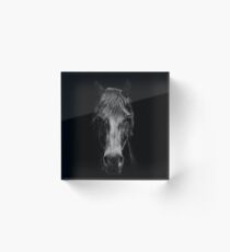 Black Horse Acrylic Block