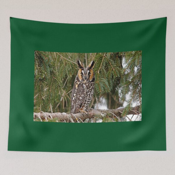 Item preview, Long Eared Owl designed and sold by Debbie Oppermann.
