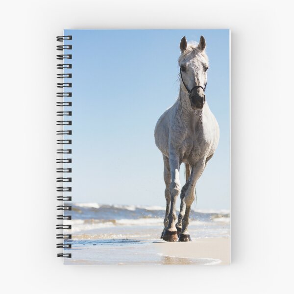Item preview, Caballo blanco caminando por la playa designed and sold by HofTao.
