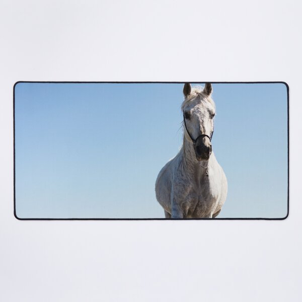 Item preview, White horse walking on the beach designed and sold by HofTao.