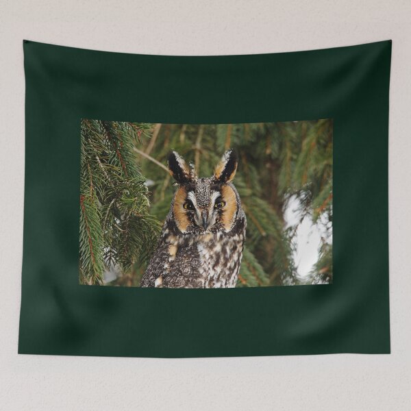 Item preview, Stare Down designed and sold by Debbie Oppermann.