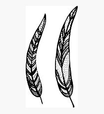 feathers, leaves, graphics Photographic Print