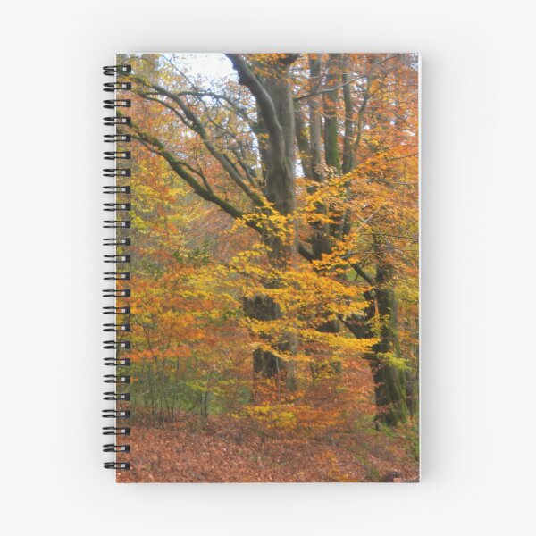 Item preview, Glorious Trees ..... Honiton Devon UK  designed and sold by lynn carter.