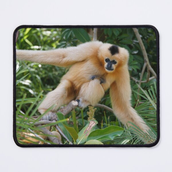 Item preview, White-Cheeked Gibbon designed and sold by rogersmith.