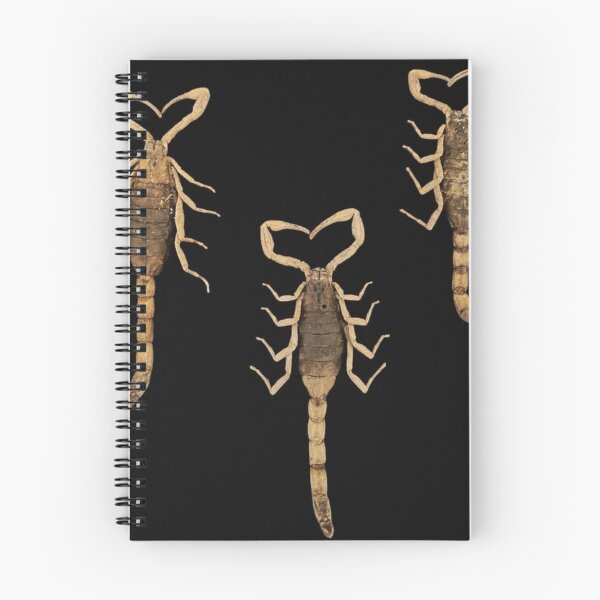 Item preview, Aesthetic Three Heart Scorpions designed and sold by Magironi.