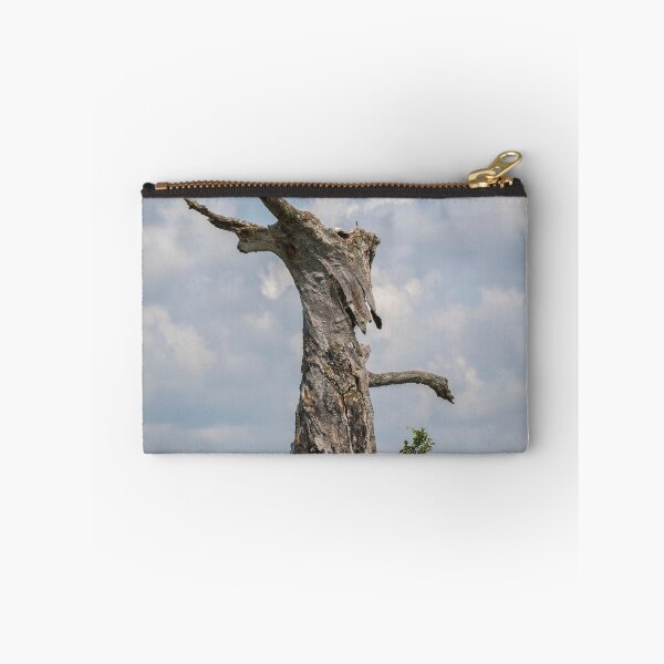 Aperçu de l'œuvre Un arbre avec un visage 2017-3 créée et vendue par Thomasyoung.