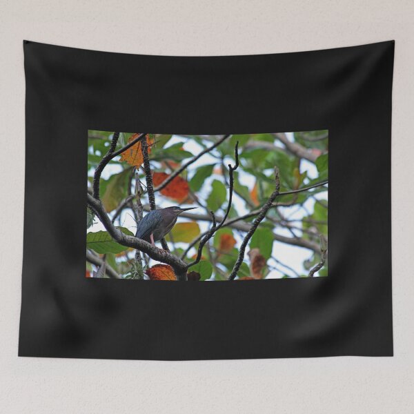 Item preview, Green Heron designed and sold by Debbie Oppermann.
