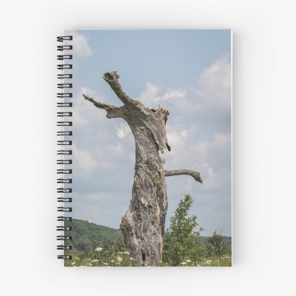 Item preview, Un árbol con cara 2017-3 designed and sold by Thomasyoung.