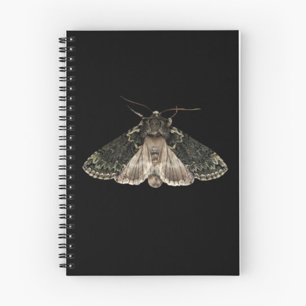 Item preview, Aesthetic Brown and Black Moth designed and sold by Magironi.