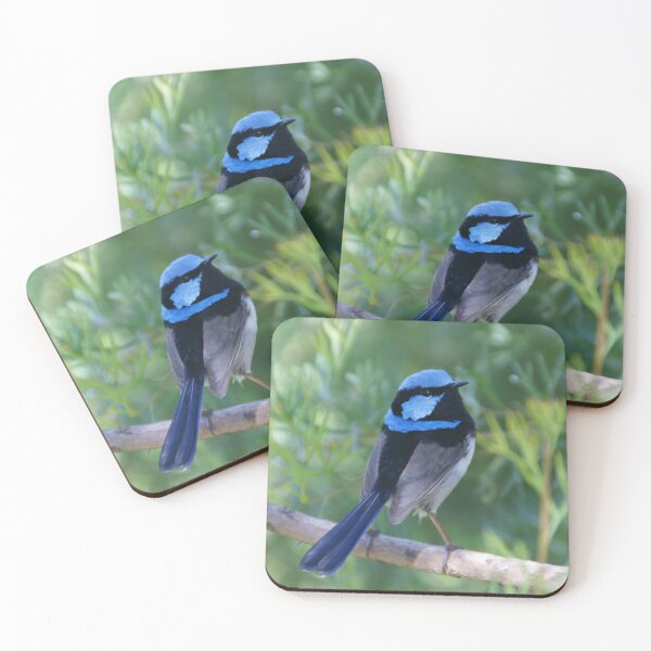 Item preview, Superb Fairy-wren designed and sold by rogersmith.