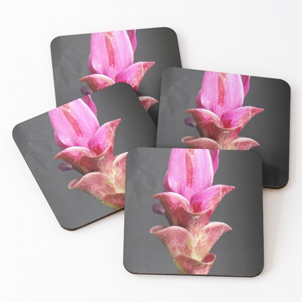 Item preview, Siam tulip is flowering plant, Curcuma sp. of the ginger family no. 21 designed and sold by greengoodnich.