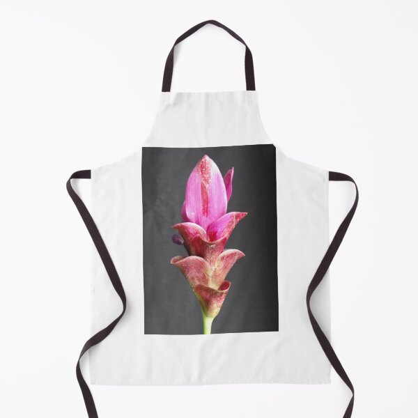 Item preview, Siam tulip is flowering plant, Curcuma sp. of the ginger family no. 21 designed and sold by greengoodnich.