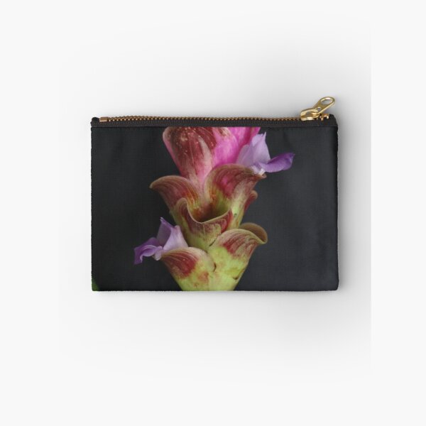 Item preview, Siam tulip is flowering plant, Curcuma sp. of the ginger family no. 22 designed and sold by greengoodnich.