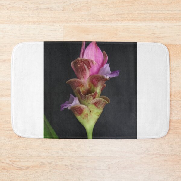 Item preview, Siam tulip is flowering plant, Curcuma sp. of the ginger family no. 22 designed and sold by greengoodnich.