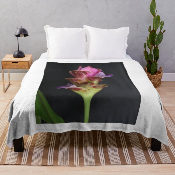 Item preview, Siam tulip is flowering plant, Curcuma sp. of the ginger family no. 22 designed and sold by greengoodnich.