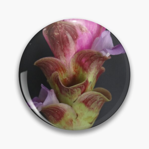 Item preview, Siam tulip is flowering plant, Curcuma sp. of the ginger family no. 22 designed and sold by greengoodnich.