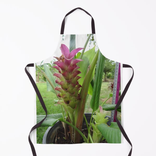 Item preview, Siam tulip is flowering plant, Curcuma sp. of the ginger family no. 23 designed and sold by greengoodnich.