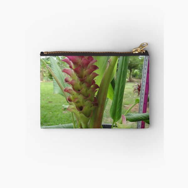 Artikelvorschau, Siam-Tulpe ist eine blühende Pflanze, Curcuma sp. der Ingwergewächse Nr. 23 entworfen und verkauft von greengoodnich.