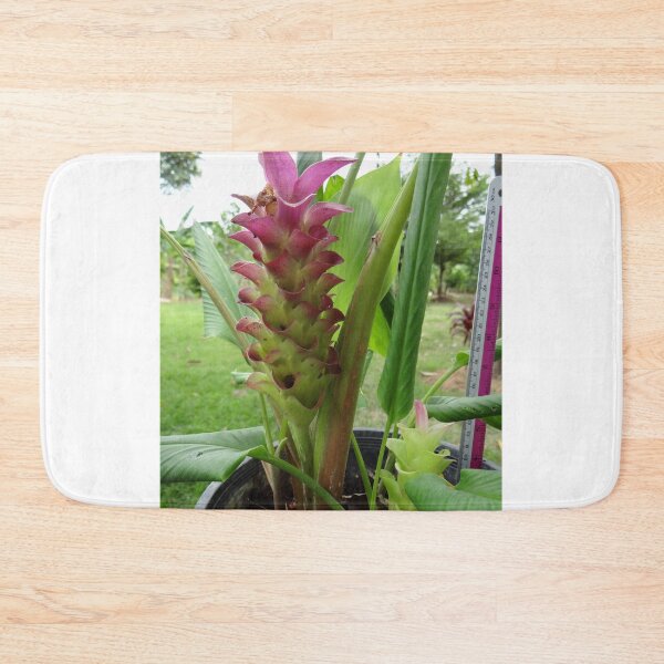 Item preview, Siam tulip is flowering plant, Curcuma sp. of the ginger family no. 23 designed and sold by greengoodnich.
