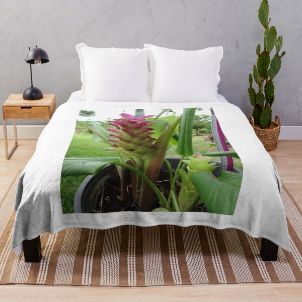 Item preview, Siam tulip is flowering plant, Curcuma sp. of the ginger family no. 23 designed and sold by greengoodnich.